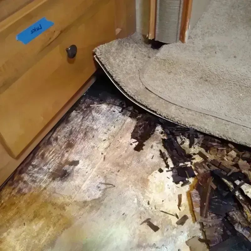 Wood Floor Water Damage in Ottawa County, MI